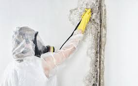 Best Industrial Mold Remediation  in Colfax, CA